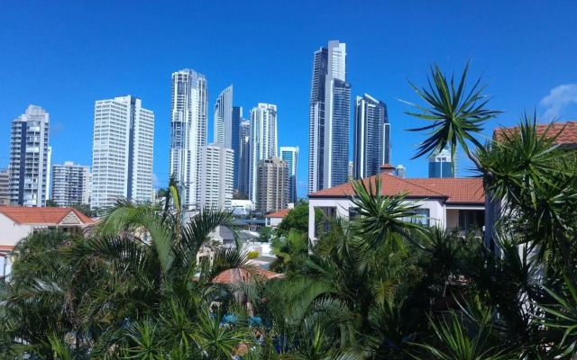 Chevron Palms
