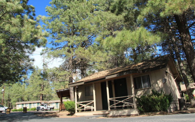Basecamp at Snowbowl