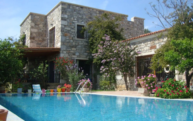 Important Group Villa Citrus