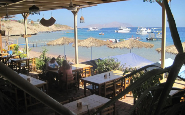 Umbi Sharks Bay Diving Village