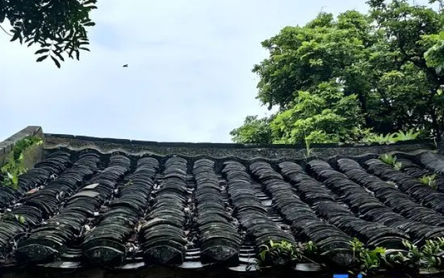Yueshan Tinghai B&B