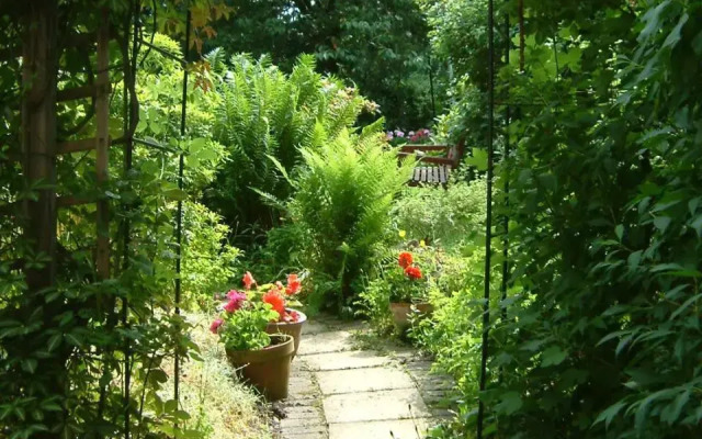 The Terrace Hotel