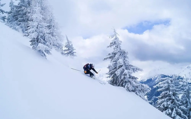 DAS EDELWEISS - Salzburg Mountain Resort