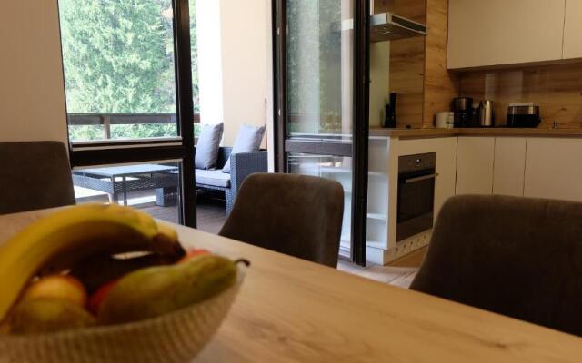 Poiana Ski Residence Apartment 5