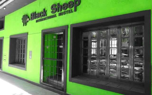 Black Sheep International Hostel