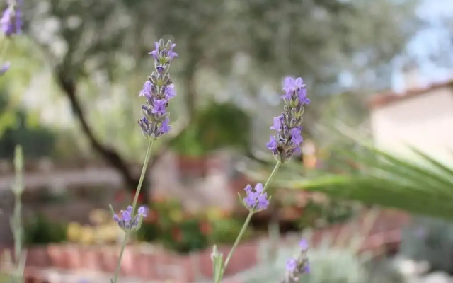 Sea View Apartment Ruza, Sleeps 4