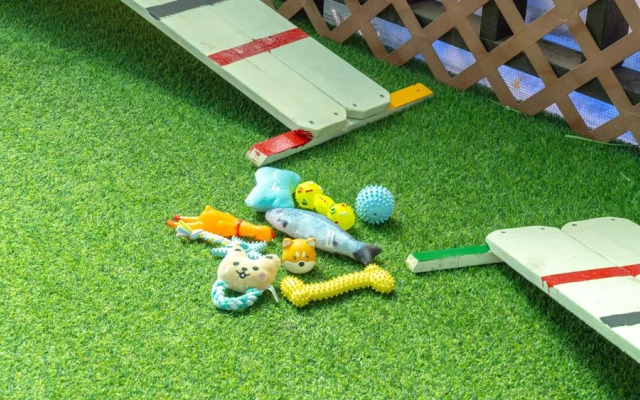 Gapyeong Beilli pet Pool Villa Pension