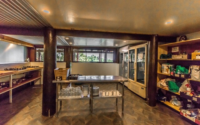 Jackaroo Treehouse Mission Beach - Hostel