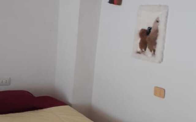 The Grasshopper Hostels AV Alta