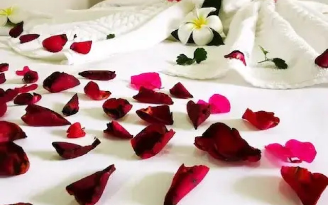 BBVC Hostel Collegestay