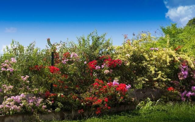 Au Jardin Debeauséjour