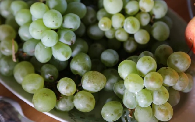 Ormana Active Butik Otel