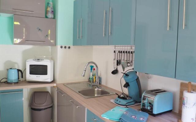 T2 « lémanesque » aux nuances du lac avec jardin