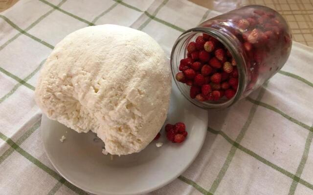 Holiday home Usadba Novoselitsa