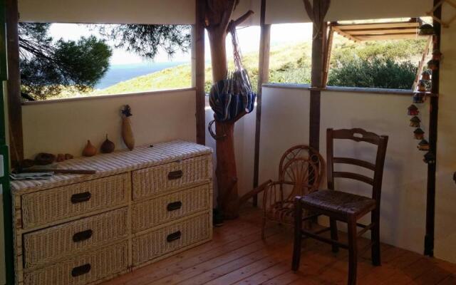 Casetta sull'Albero, Girasole