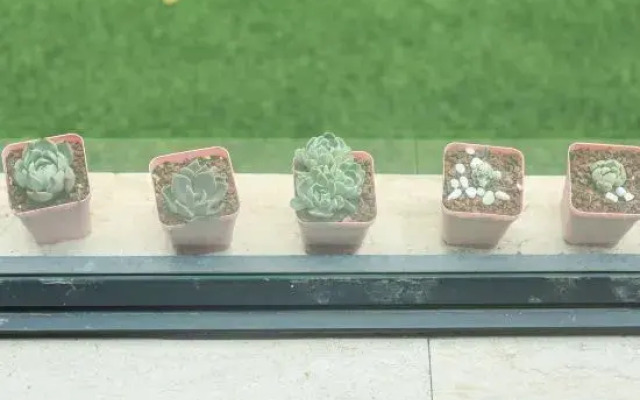 Zuimei Dali Boutique Inn