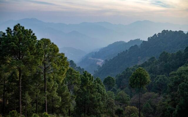 Kasauli heights