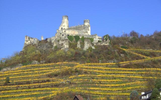 Gasthof-Pension Leopold Janu