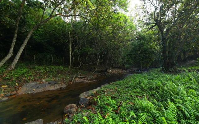 Abad Brookside Wayanad