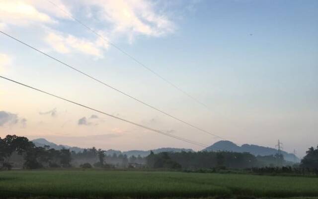 Wichuda Fishing Park & Homestay