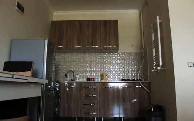 Apartment DIRSI 4