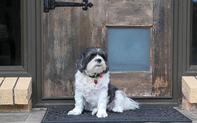 Cedar Park-Bed & Breakfast