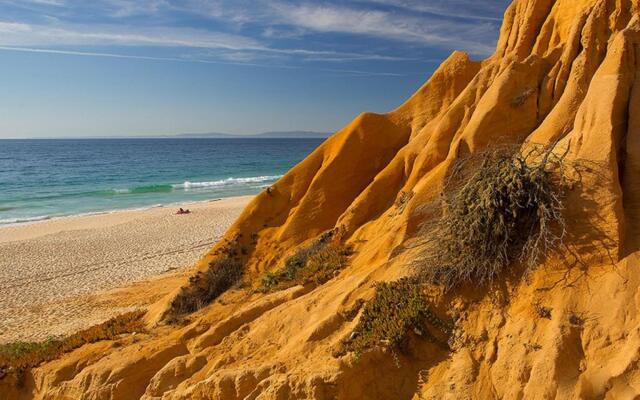 Villa Comporta (AL) in Comporta