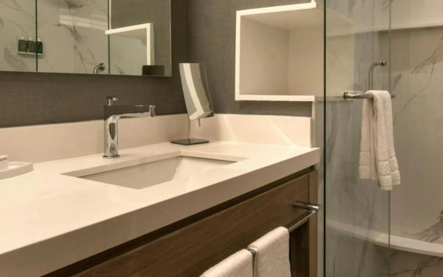 Courtyard by Marriott San Luis Potosi, Los Lagos