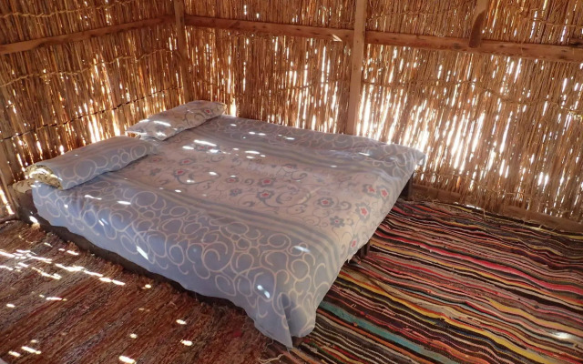Bedouin Star (Ras shetan area)