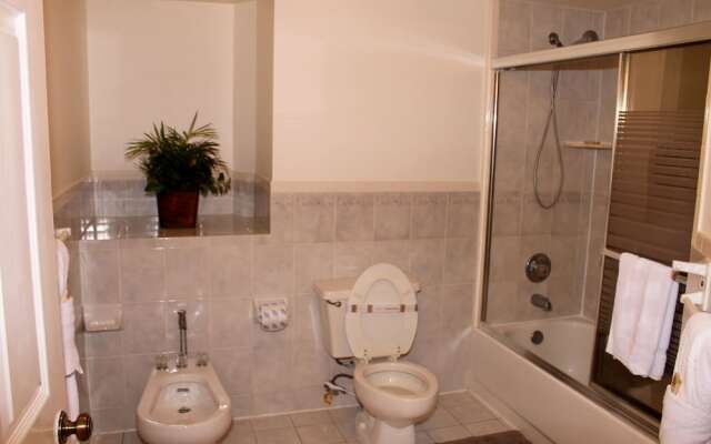 Beach Palms 405