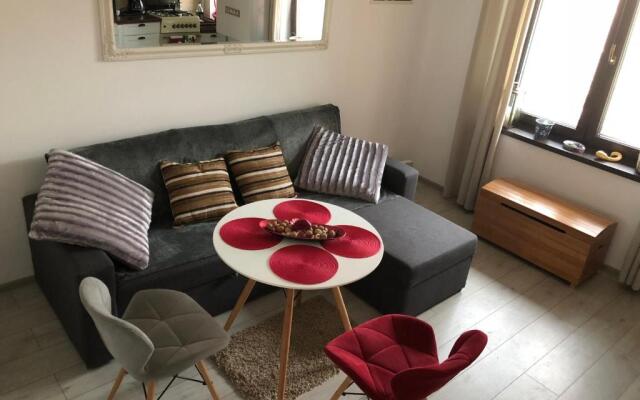 Vintage Apartment Suceava
