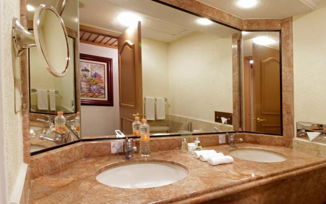 Holiday Inn Queretaro-Centro Historico by IHG