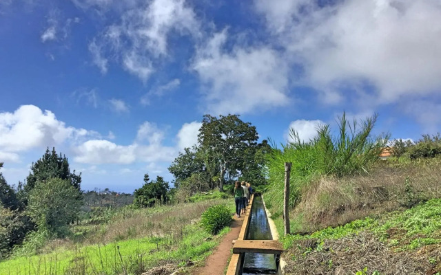 SeaView Apartment by OurMadeira
