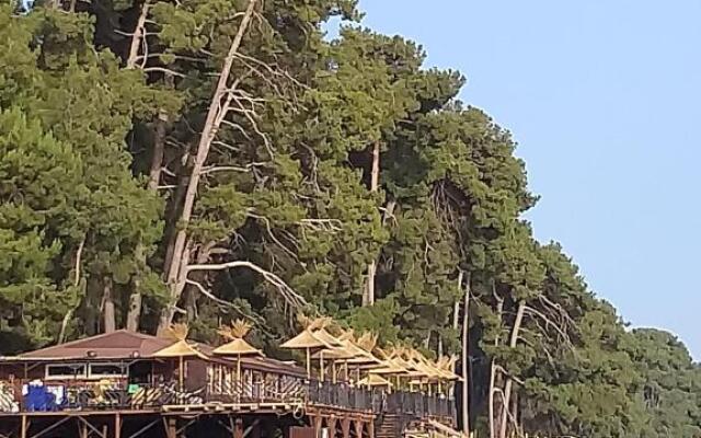 Apartamenty na ul Gochua 13