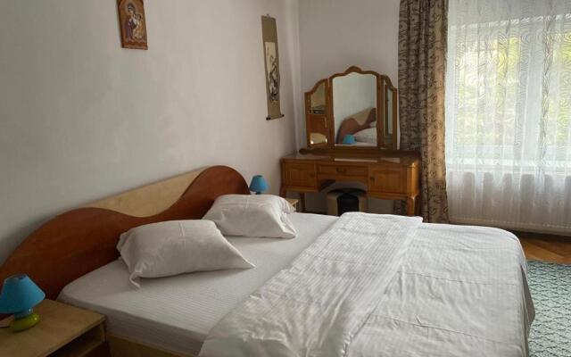 Mountain Countryside House & Courtyard near Sibiu