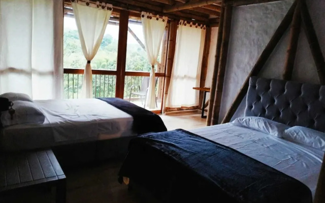 Tanager Lodge Quimbaya