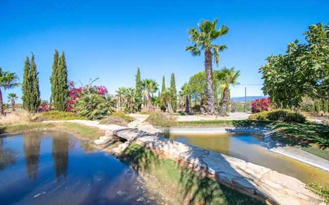 Yoba Horse Farm in Carvoeiro