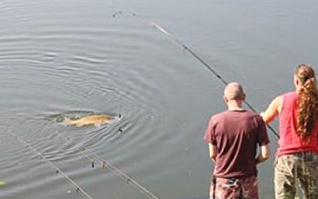 Camping des Ballastieres