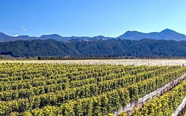 Straw Lodge Vineyard and Boutique Lodging