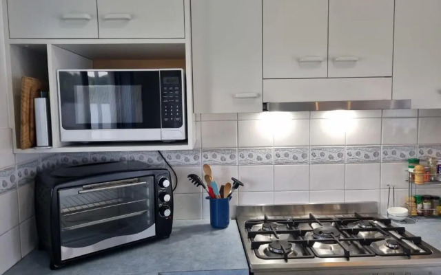 Blue Poles - Pet Friendly