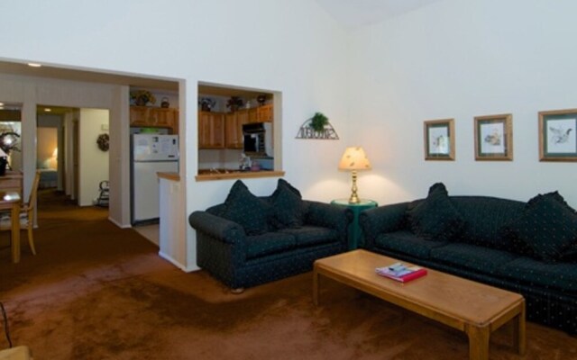 Premium McCloud Condo