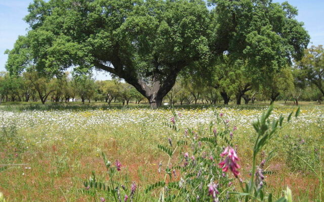 Monte das Faias