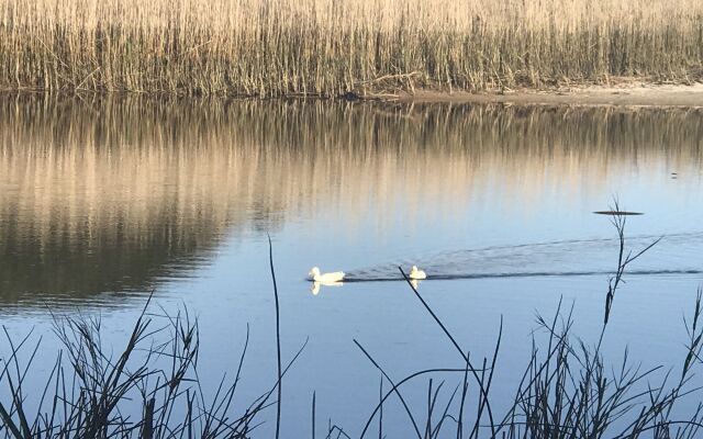 Kennedy's Beach Villa