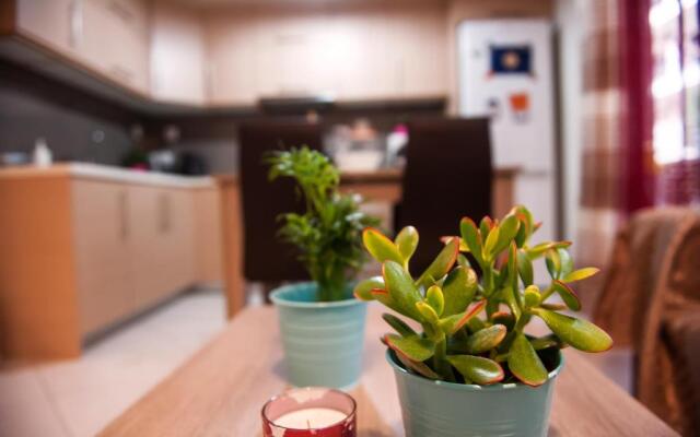 City House Apartment
