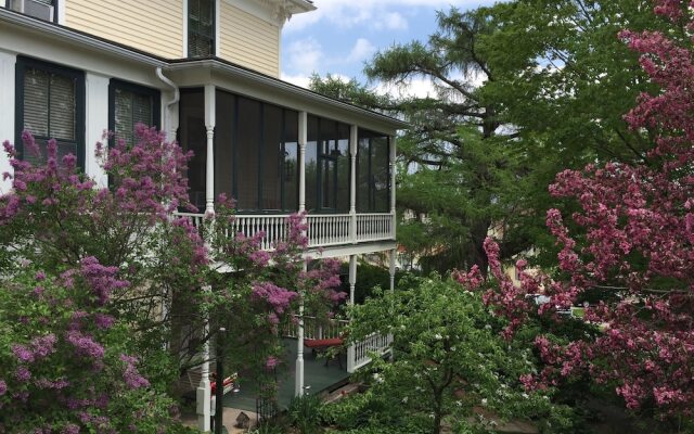 Thornton House Bed and Breakfast