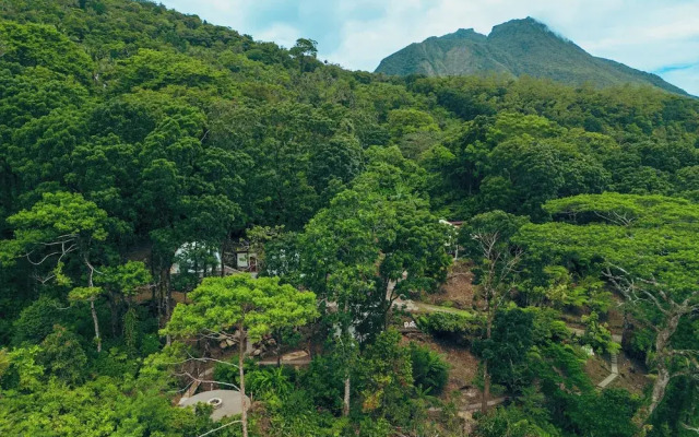 Matahom Forest Glamping Tent 2