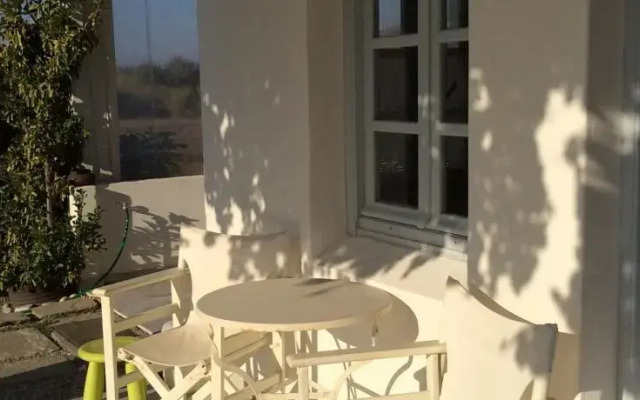 Kohyli