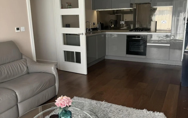 Luxurious 2 Bedroom Apartment in Reading