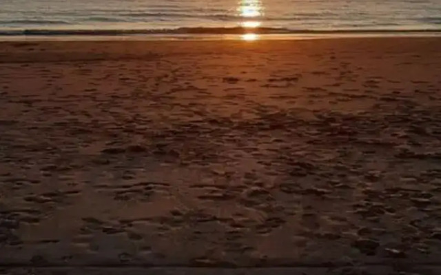 Holiday Apartment Lavender