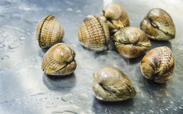 Hotel Crisol de las Rías